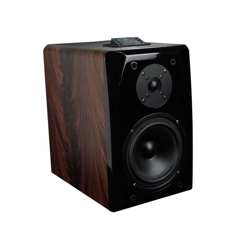High Performance Active Karaok - Woofer ulasan dan harga