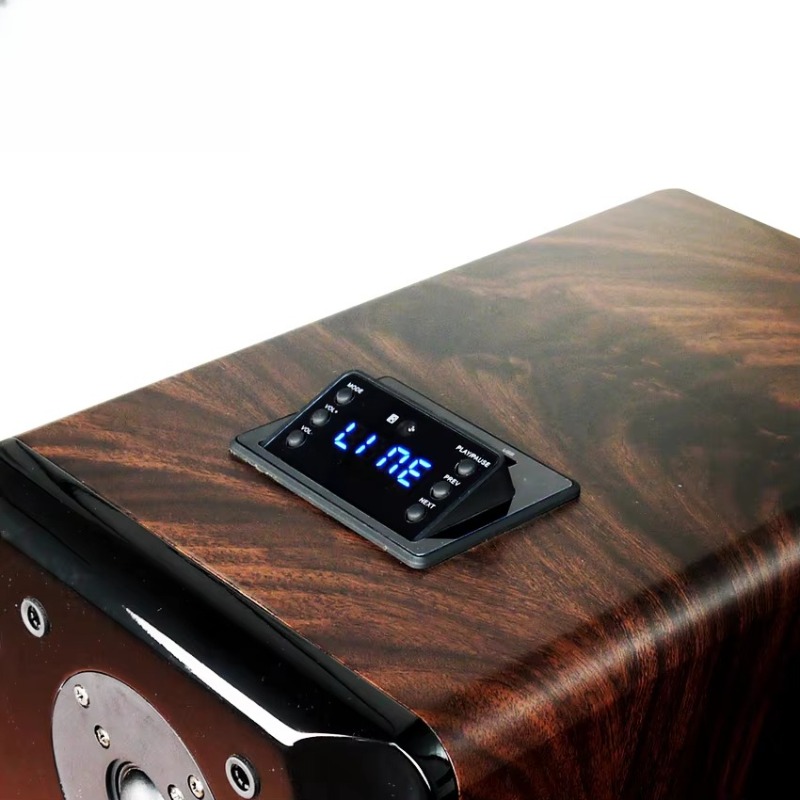 High Performance Active Karaok - Woofer ulasan dan harga